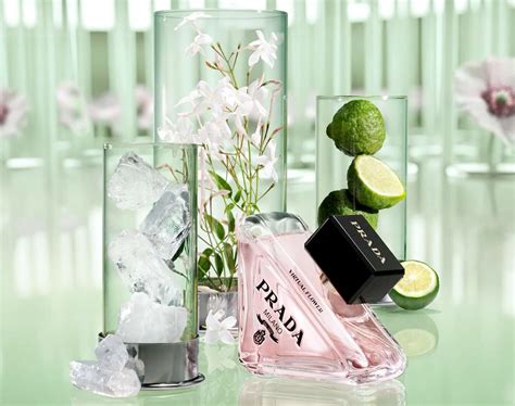 prada paradoxe virtual flower lab